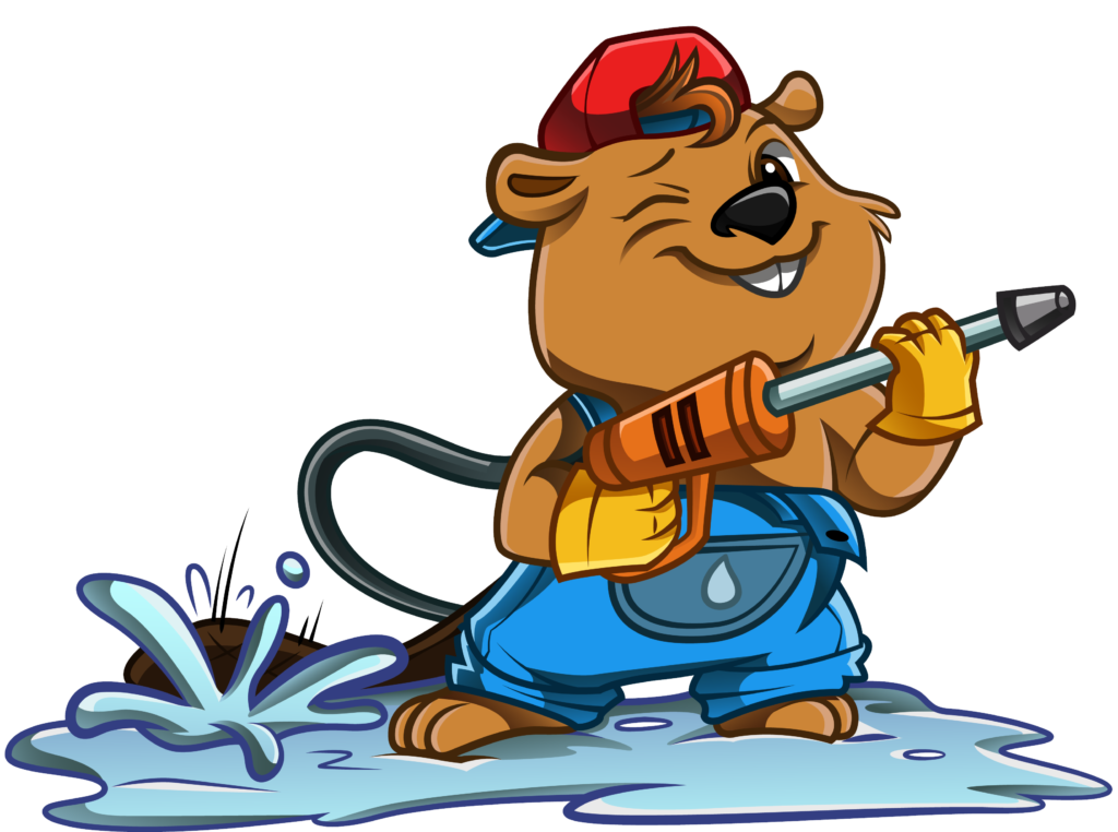 Zenith Pro Wash (beaver logo) Zenith Pro Wash (beaver logo)